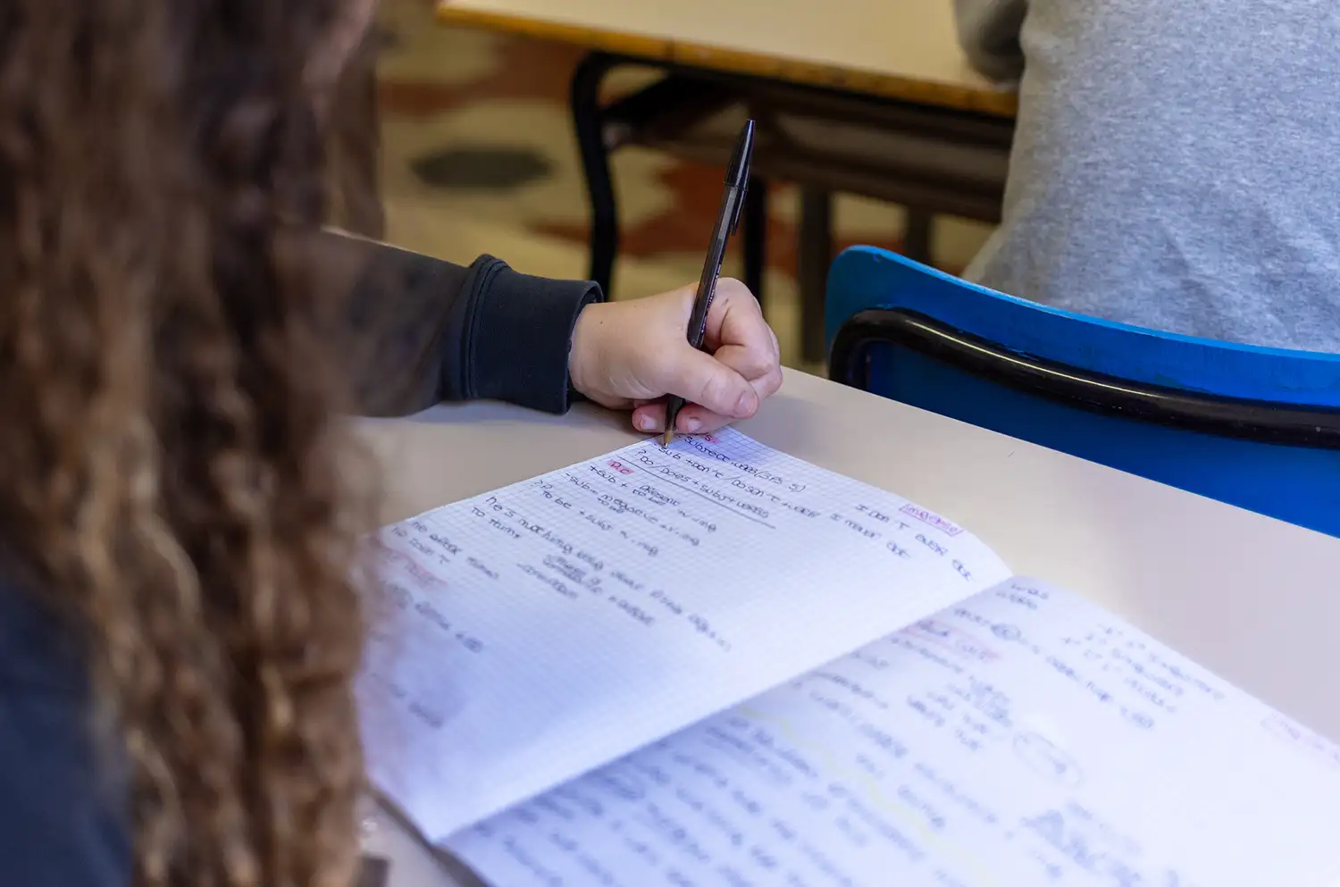 PARINI LICEO LINGUISTICO