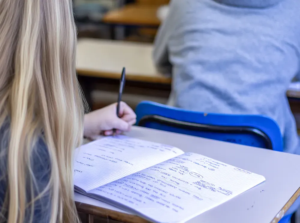 Parini Recupero anni e materie scolastiche